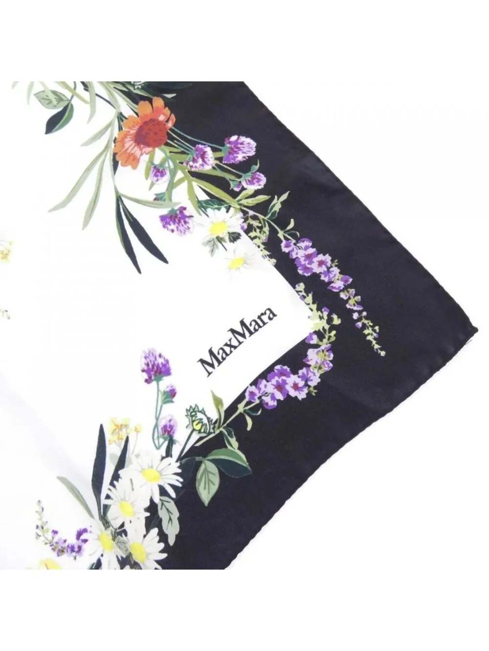 MaxMara brand max